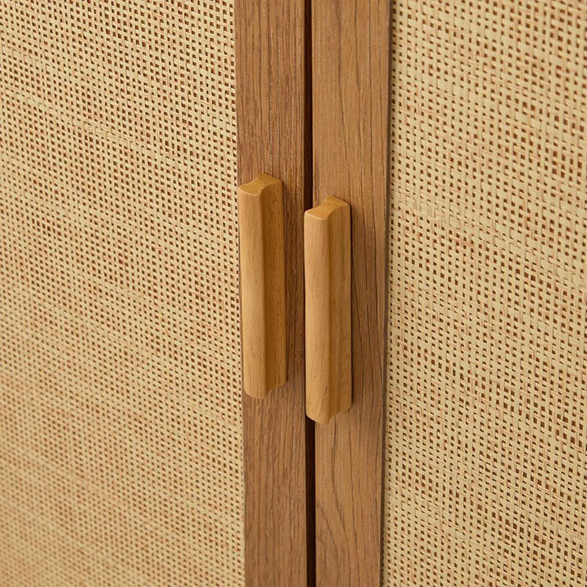 Canyon Two Door Cabinet Mocka