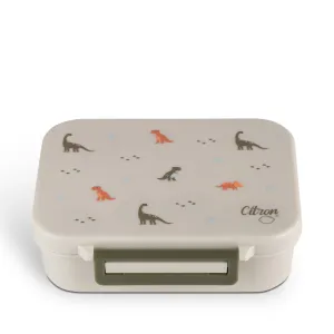 Citron Absolut Tritan Snack Box - Dino - Green