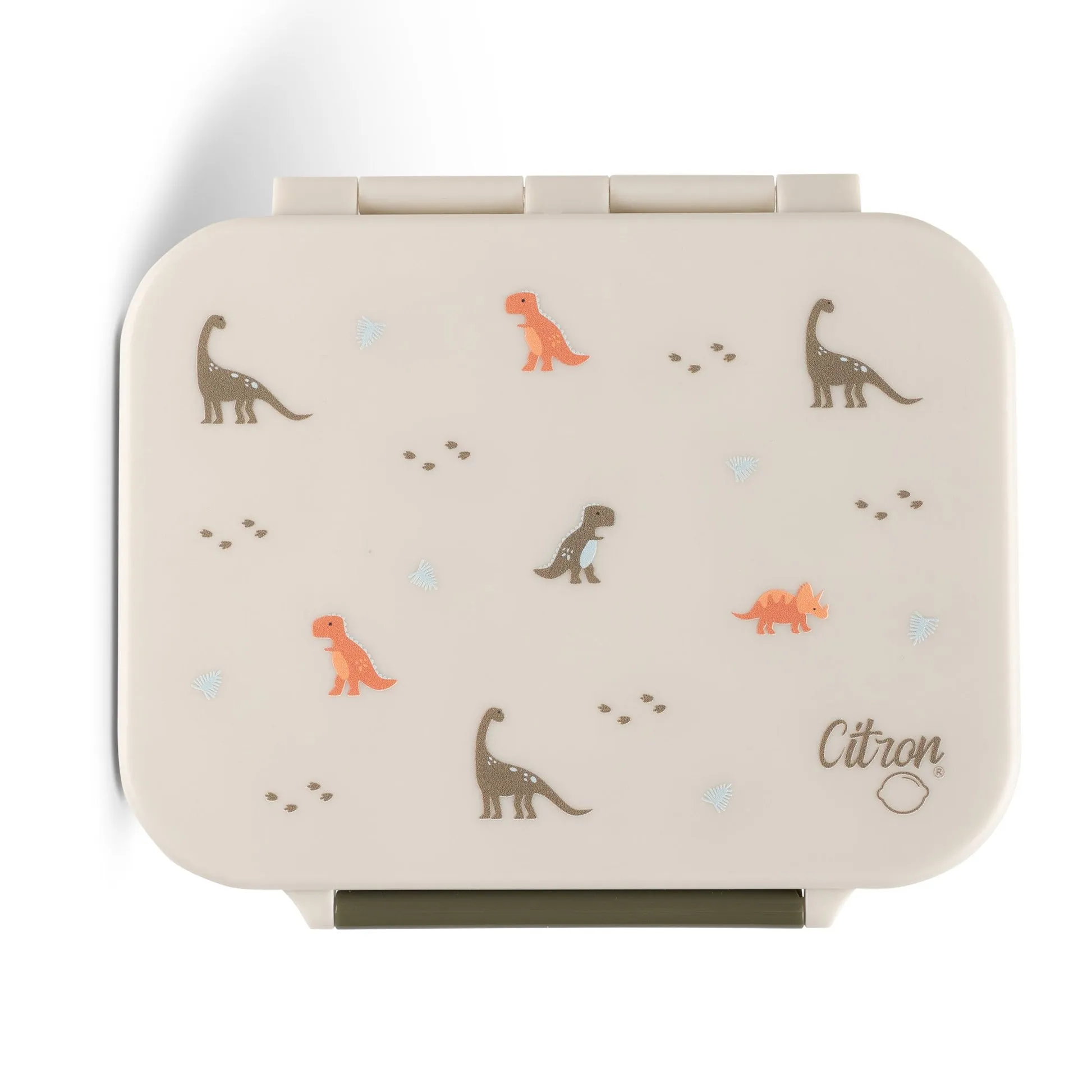 Citron Absolut Tritan Snack Box - Dino - Green