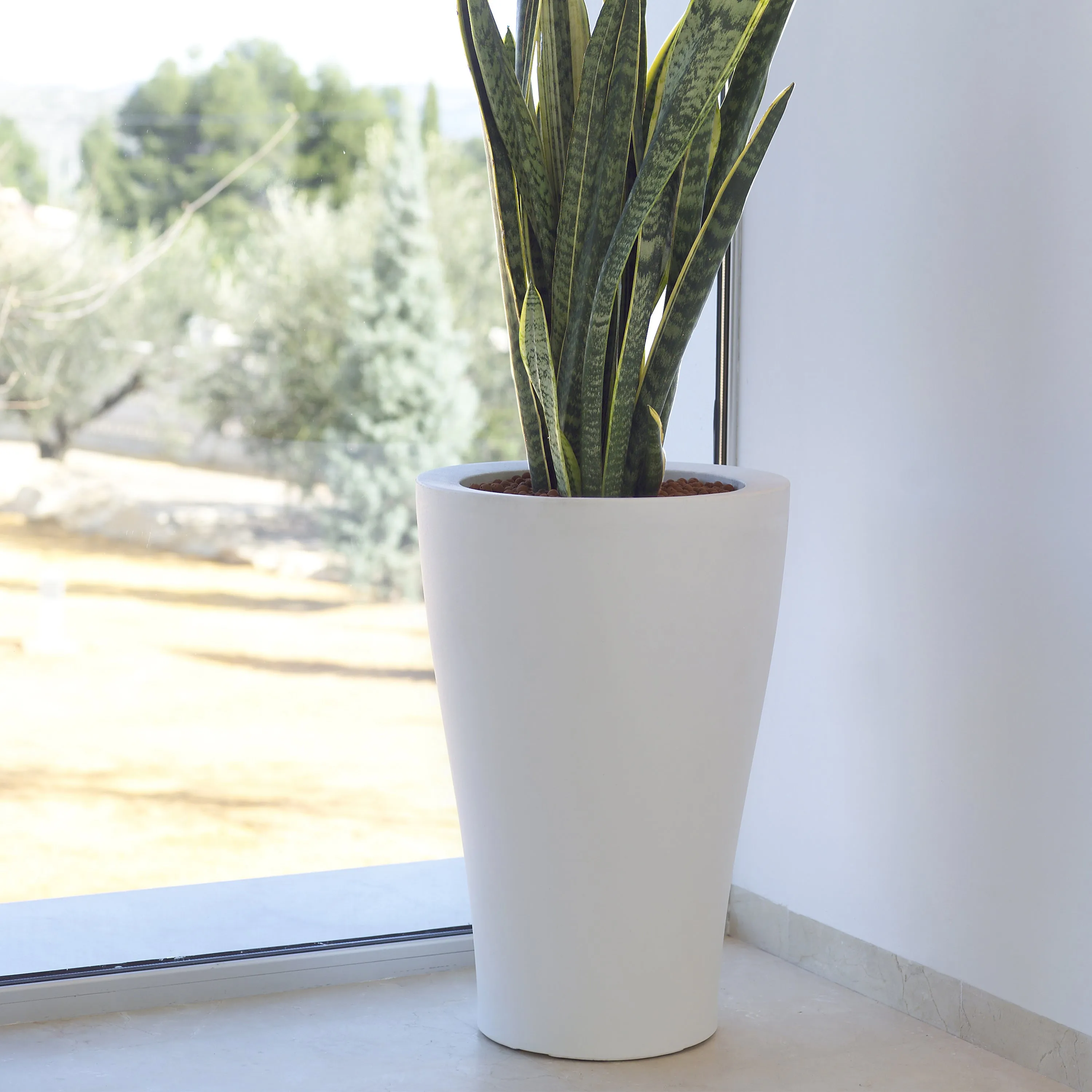 Curvada Planter