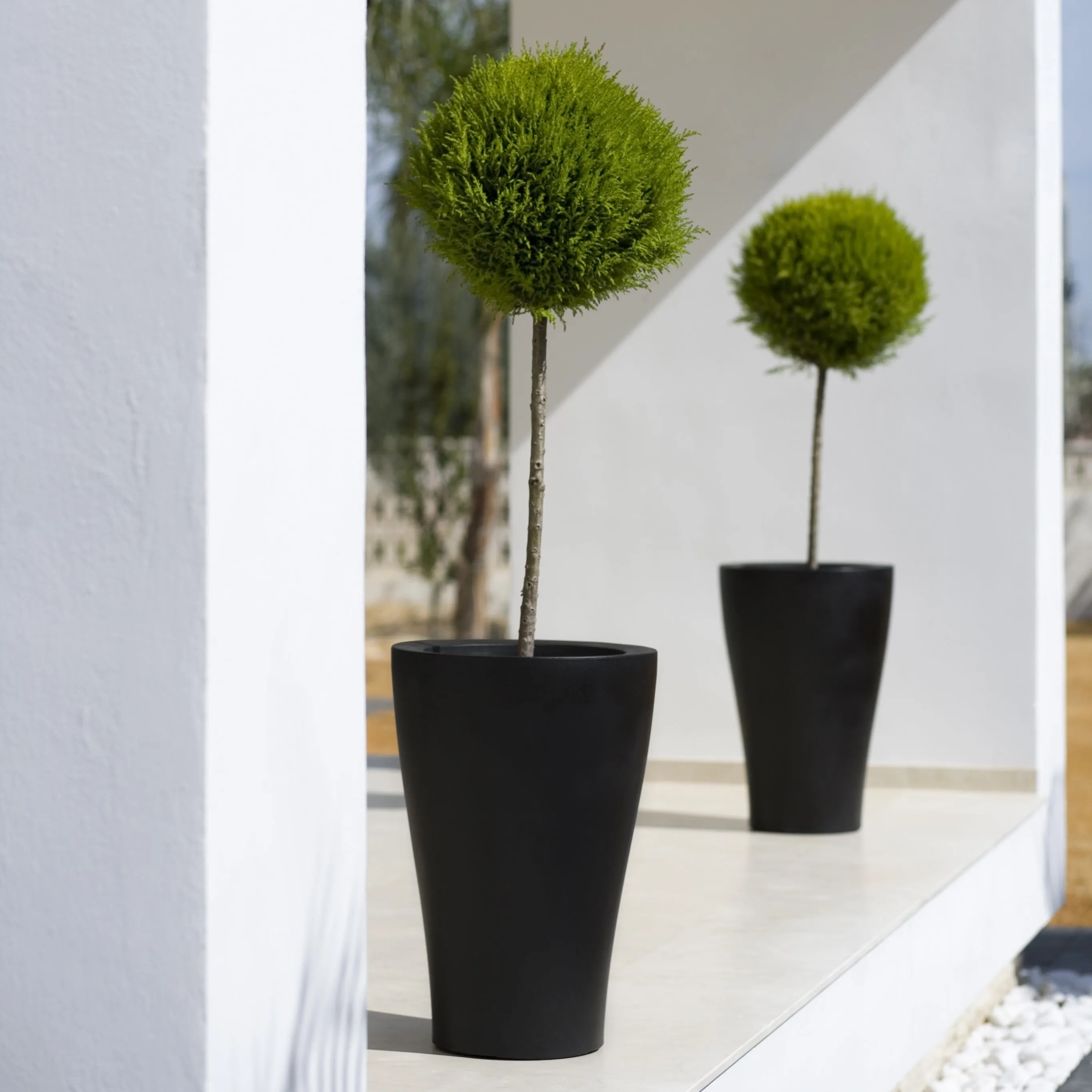 Curvada Planter