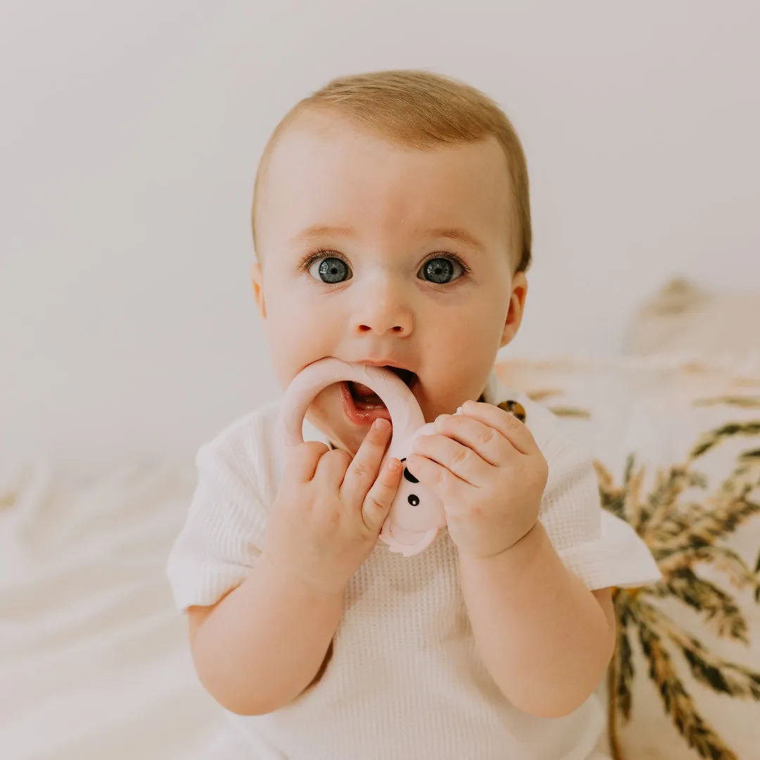 Jellystone Designs Koala Teether - Joey Blue