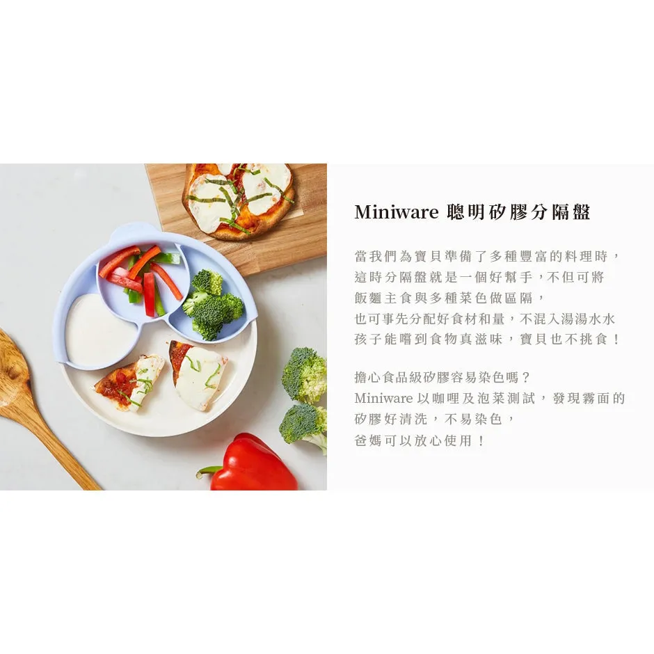 Miniware Silicone Smart Divider in Mint
