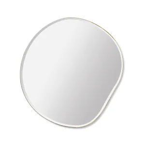Pond Mirror