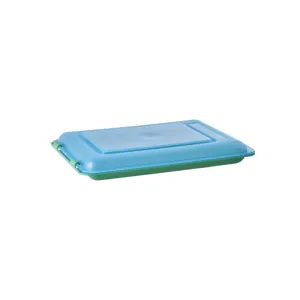 Rice DK Food Keeper in Color Green with Blue Lid - 470ml