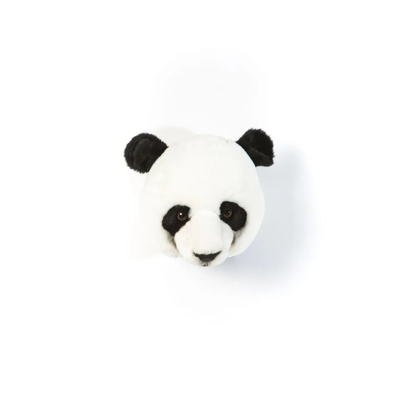 Wild & Soft Head Panda Thomas