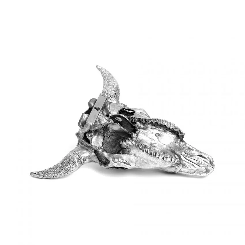 Wunderkammer Bison Skull