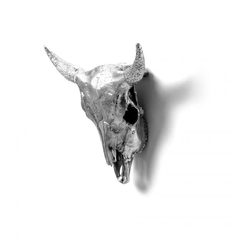 Wunderkammer Bison Skull
