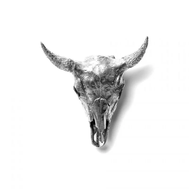 Wunderkammer Bison Skull