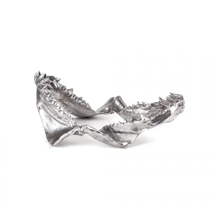 Wunderkammer Shark Jaw