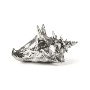 Wunderkammer Shell