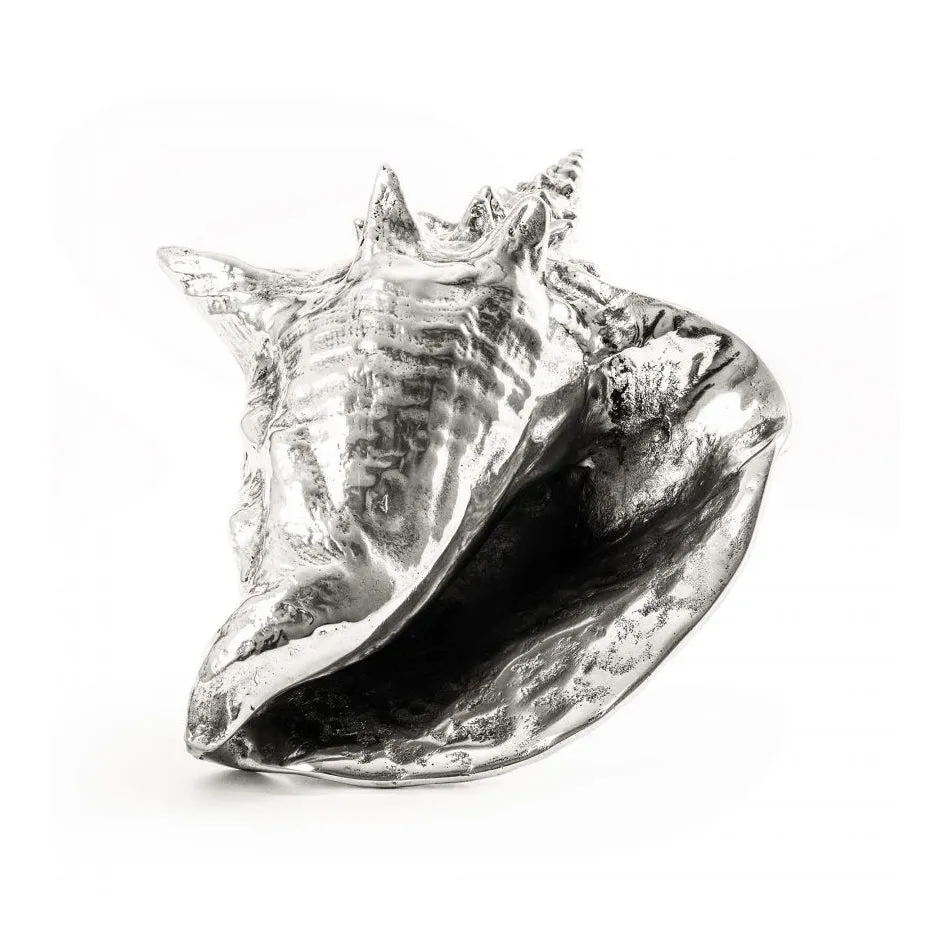 Wunderkammer Shell